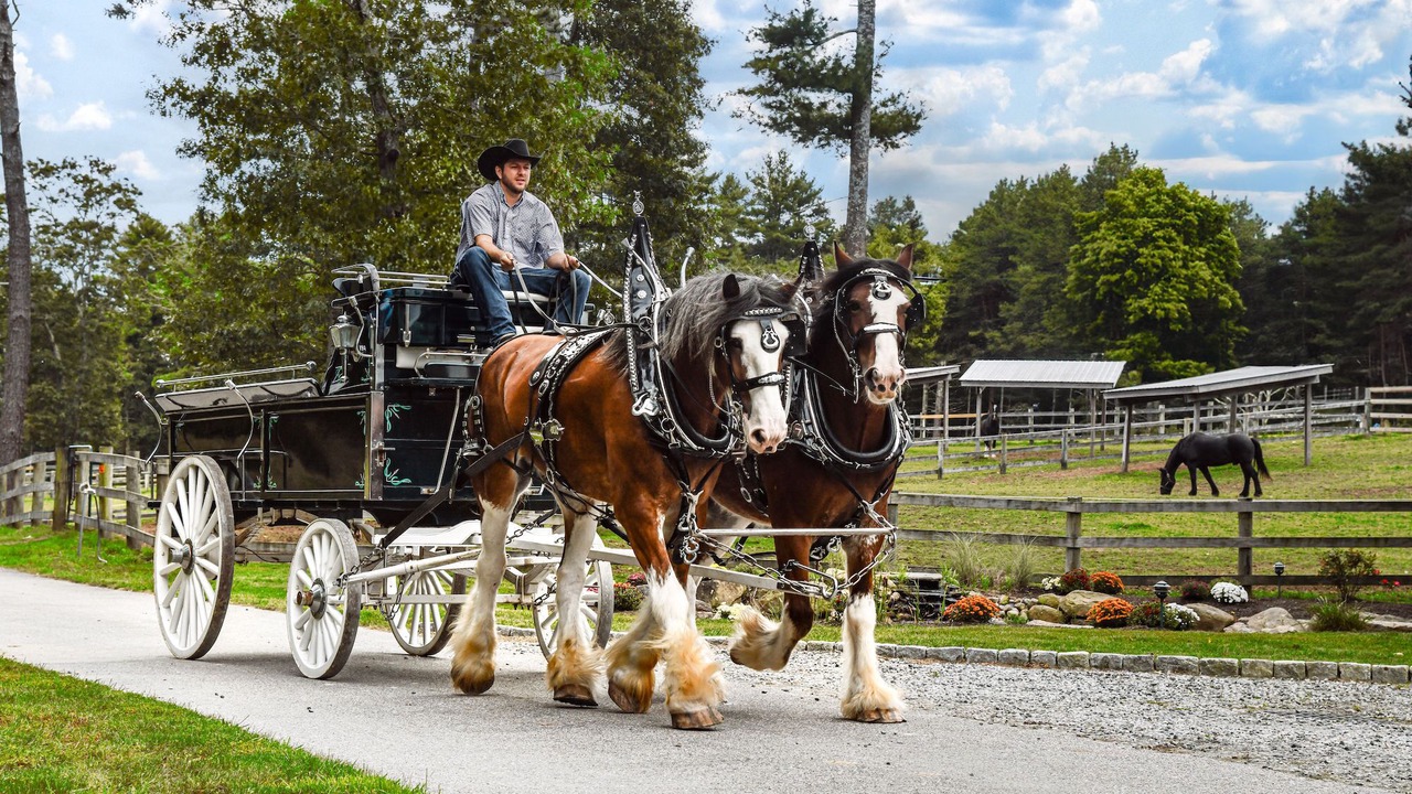 Photo of Others in Wyoming