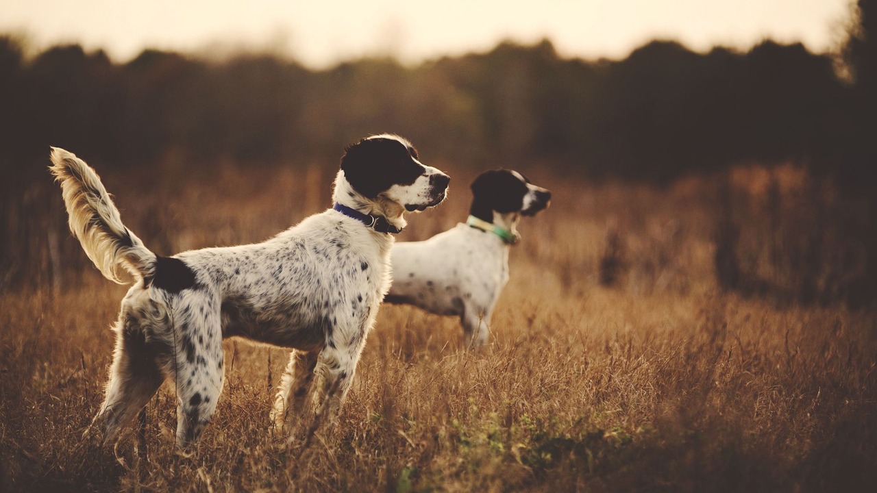 Photo of Others in Wyoming