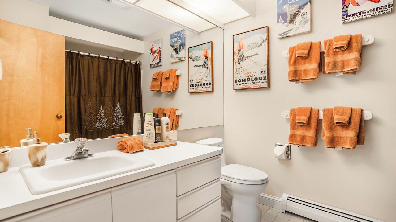 Photo of Bathroom in Stratton Mountain