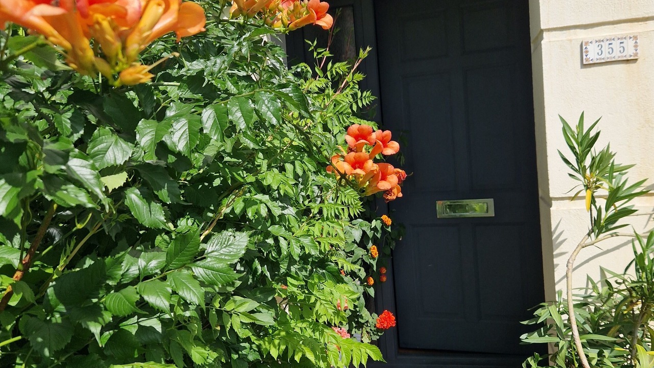 Photo of Outdoor in Lee Green