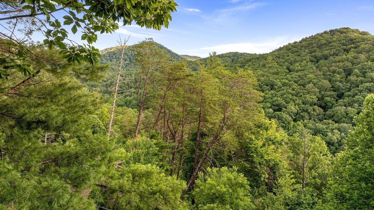 Photo of Others in Cherry Log