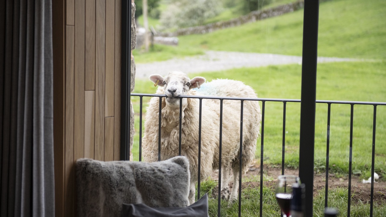 Photo of Others in Nateby