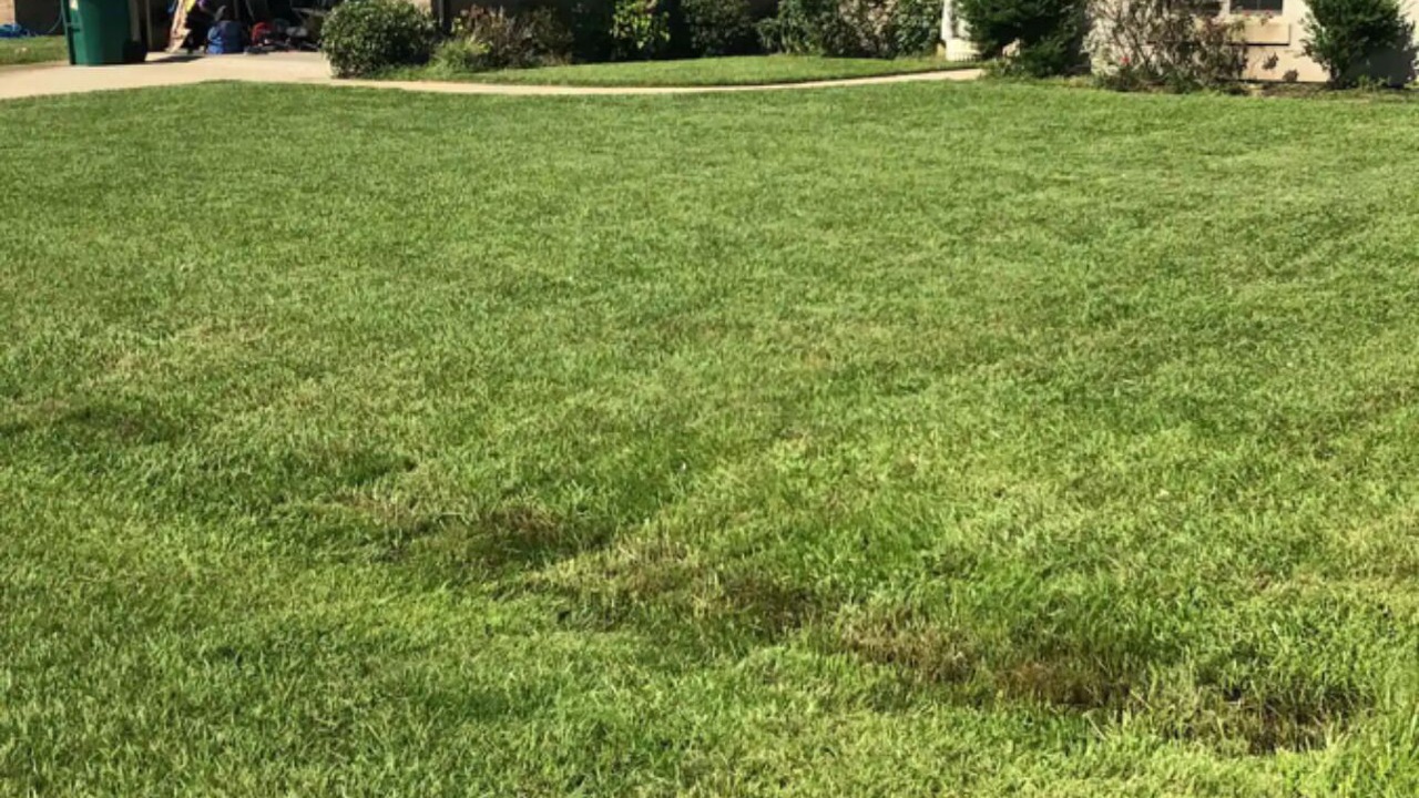 Photo of Outdoor in Hammond
