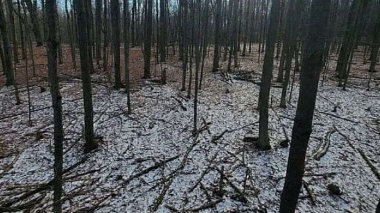 Photo of Others in Delevan