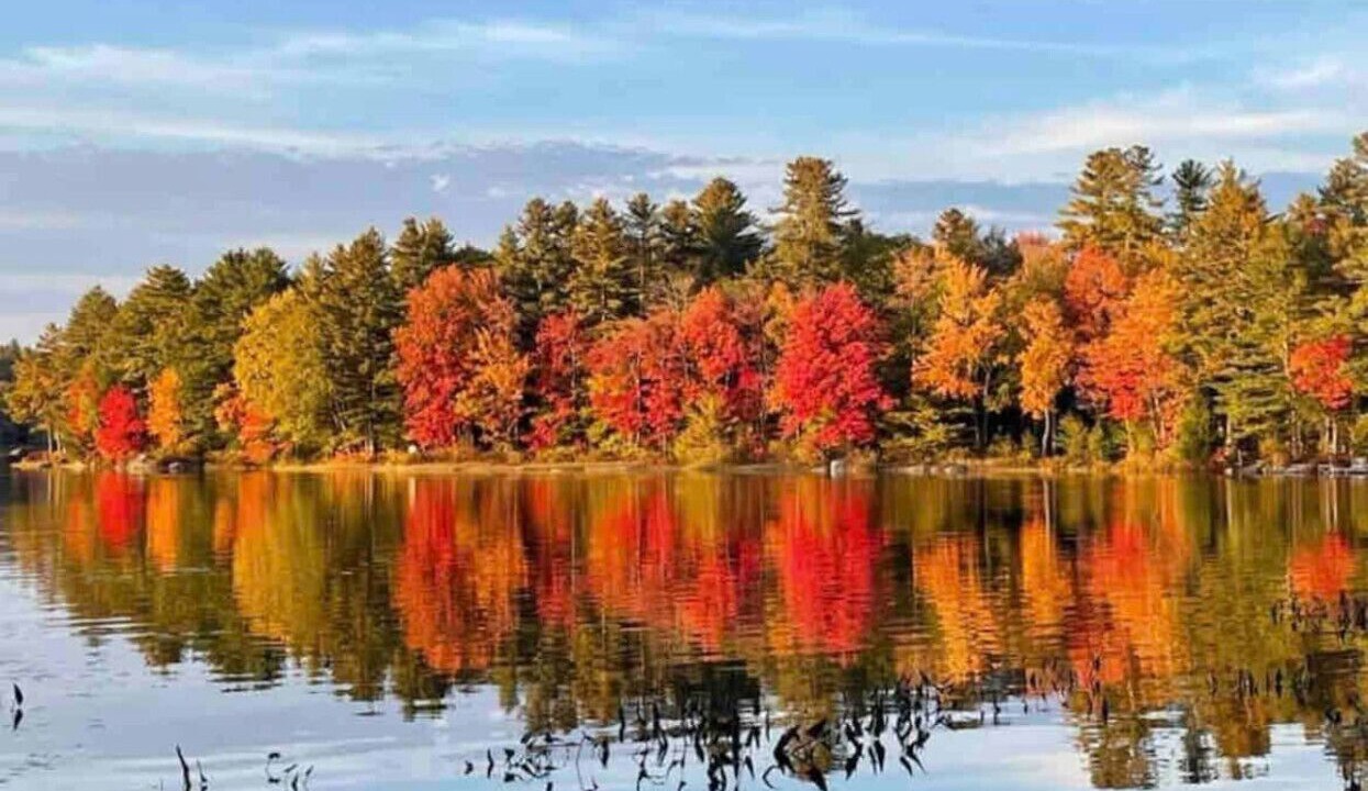 Photo of Others in Surry