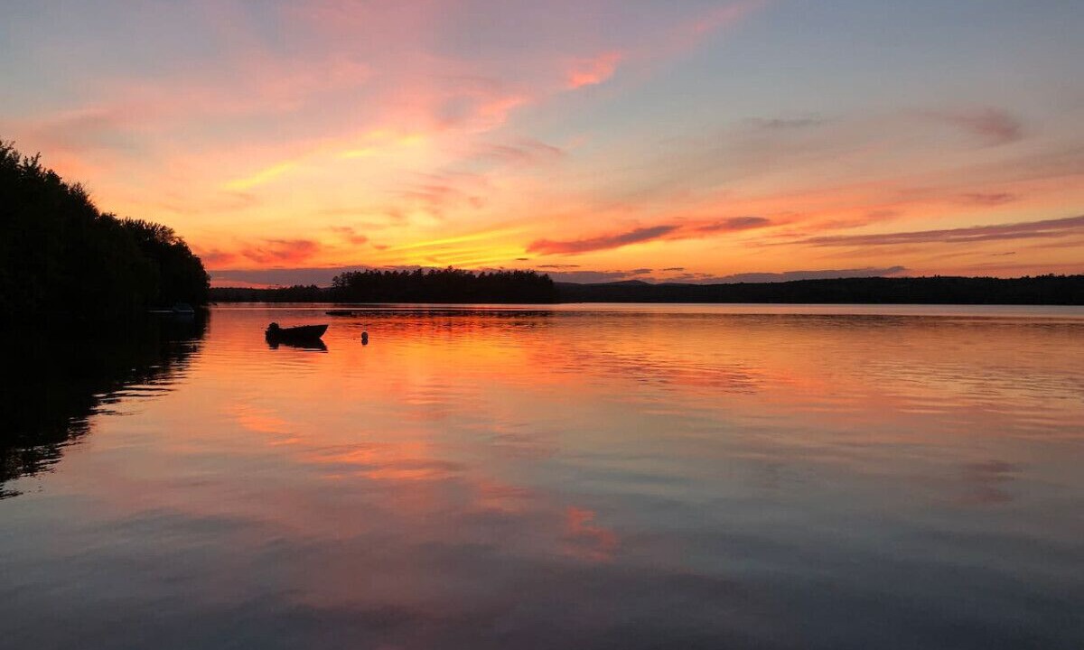 Photo of Others in Surry