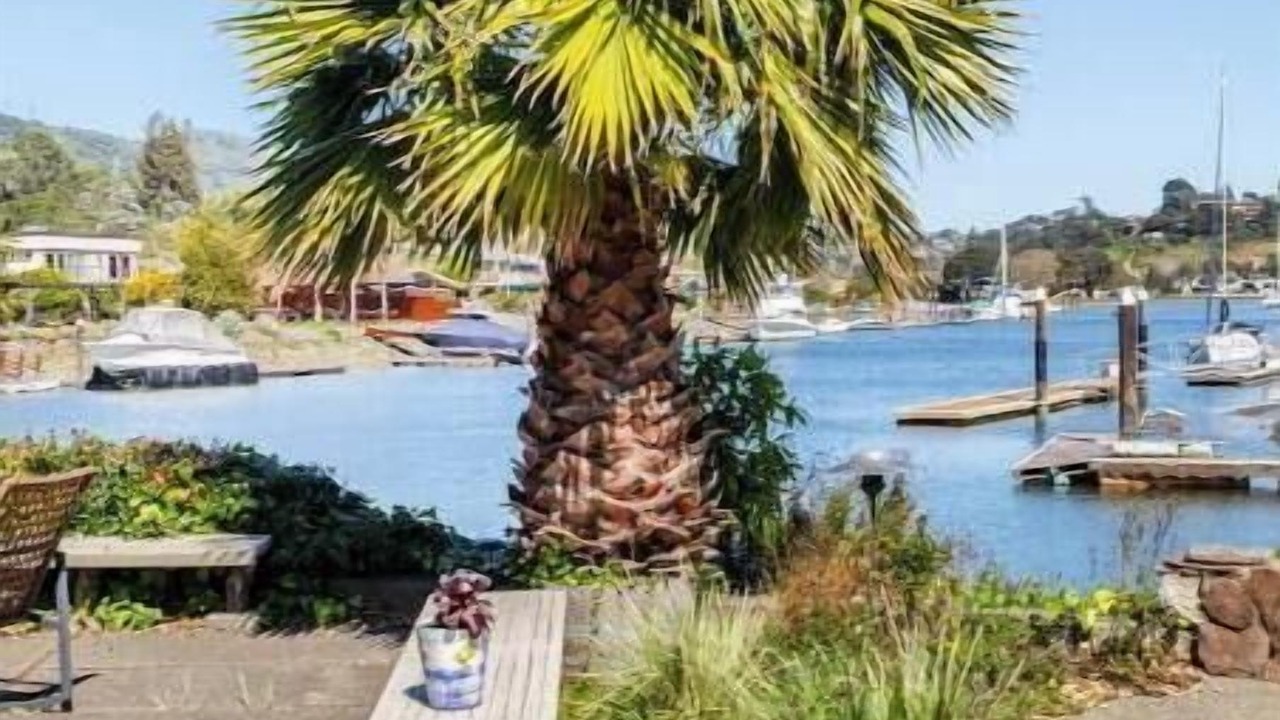 Photo of Outdoor in San Rafael