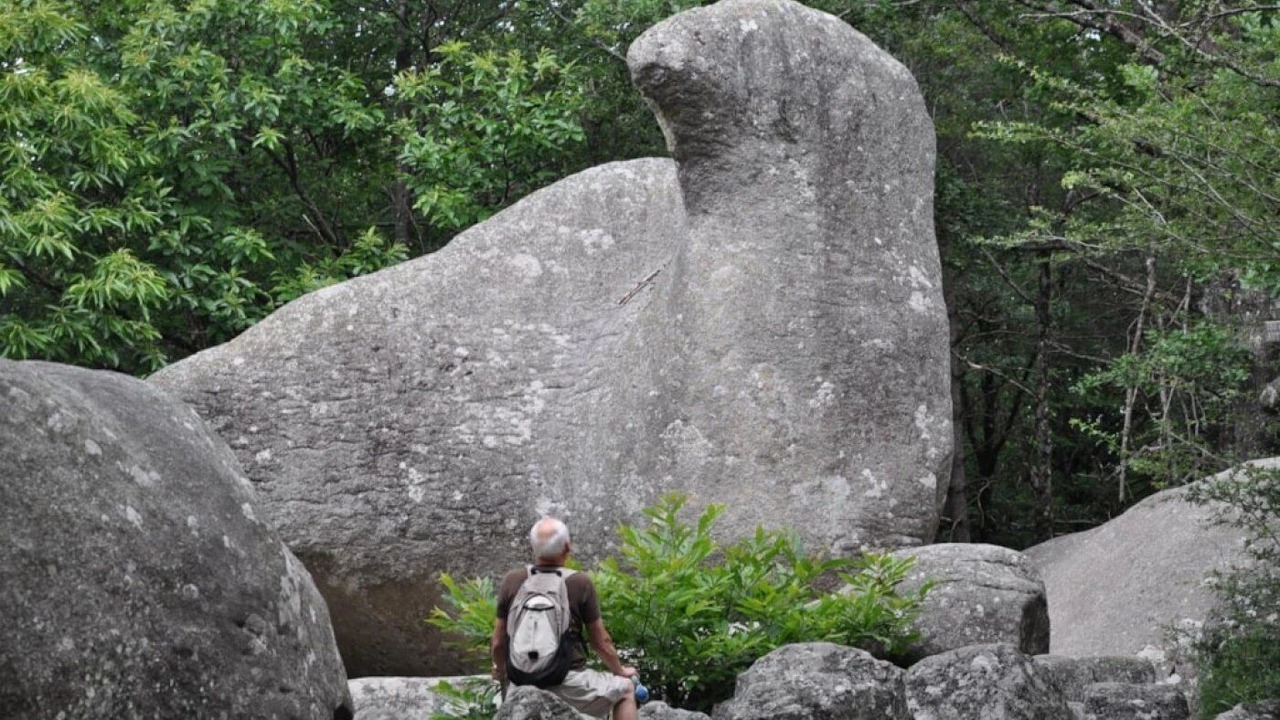 Photo of Others in Le Bez