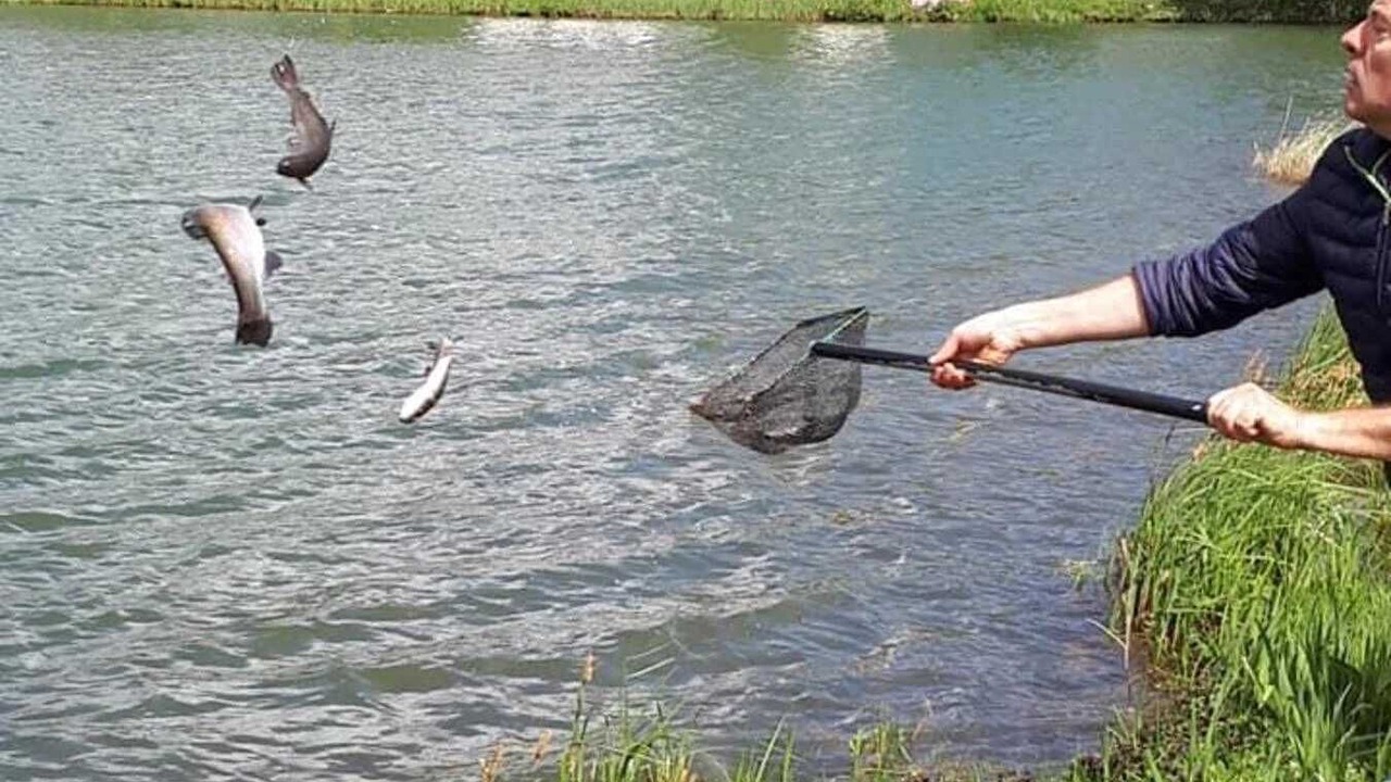 Photo of Outdoor in Martigny