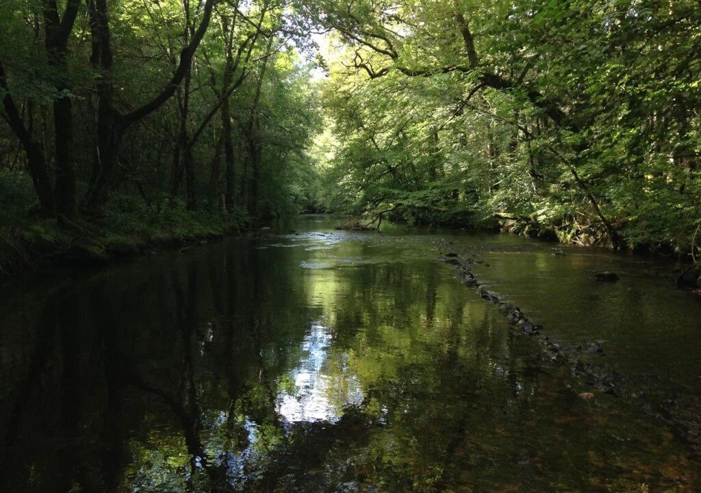 Photo of Others in Correze