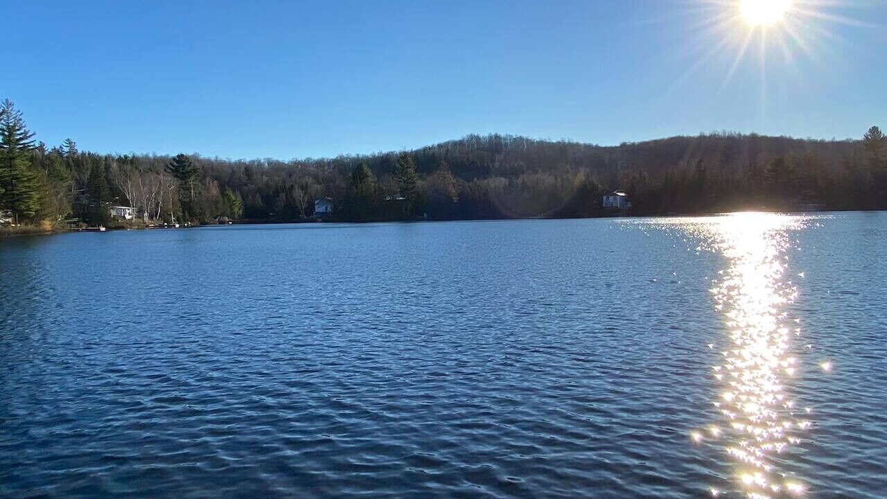 Photo of Others in Chertsey