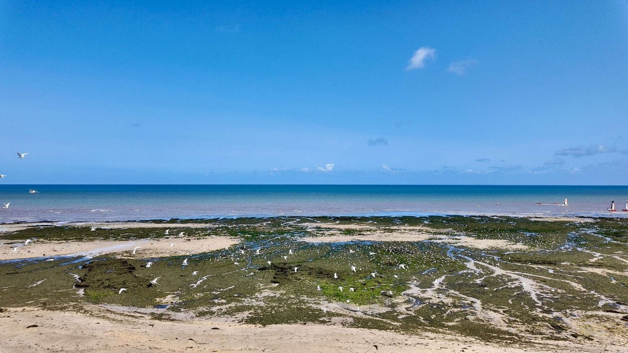 Photo of Others in Langrune-sur-Mer