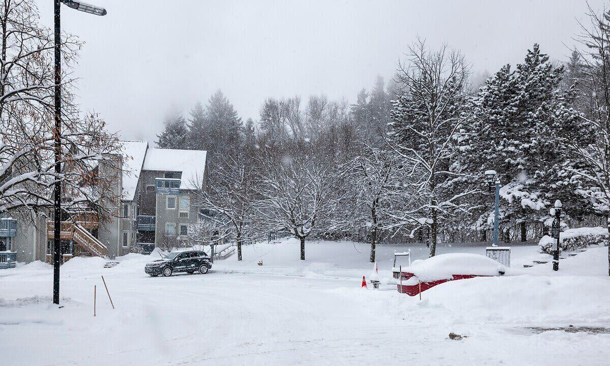 Photo of Outdoor in Craigleith
