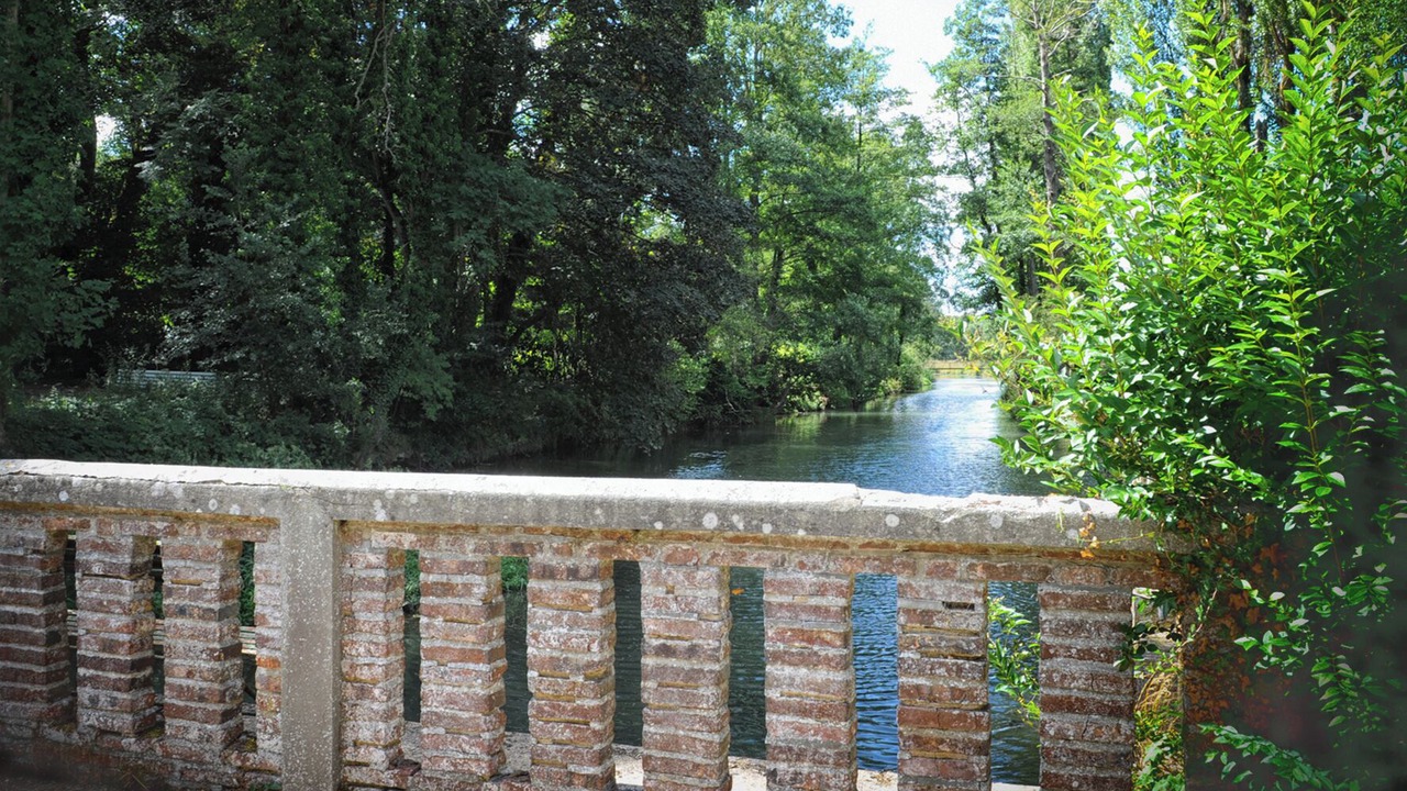 Photo of Outdoor in Saint-Martin-d'Ecublei