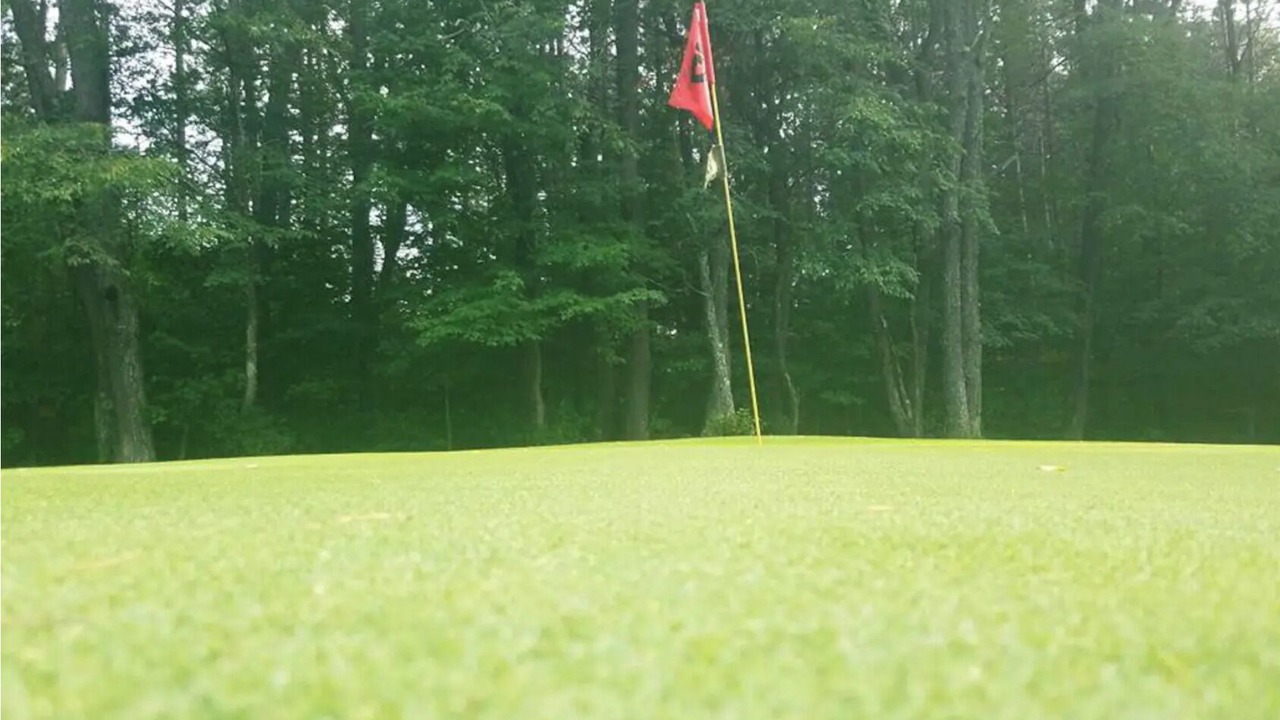 Photo of Others in Brantingham