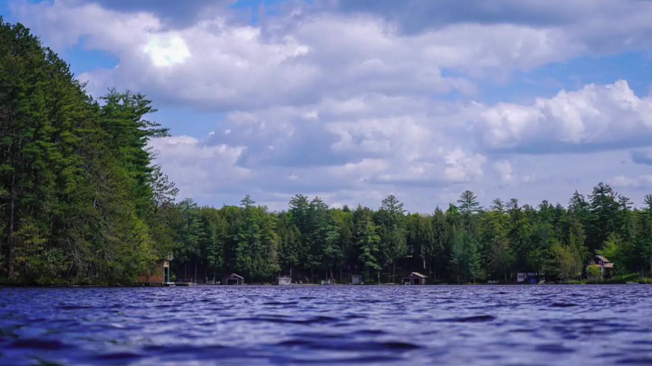 Photo of Others in Brantingham