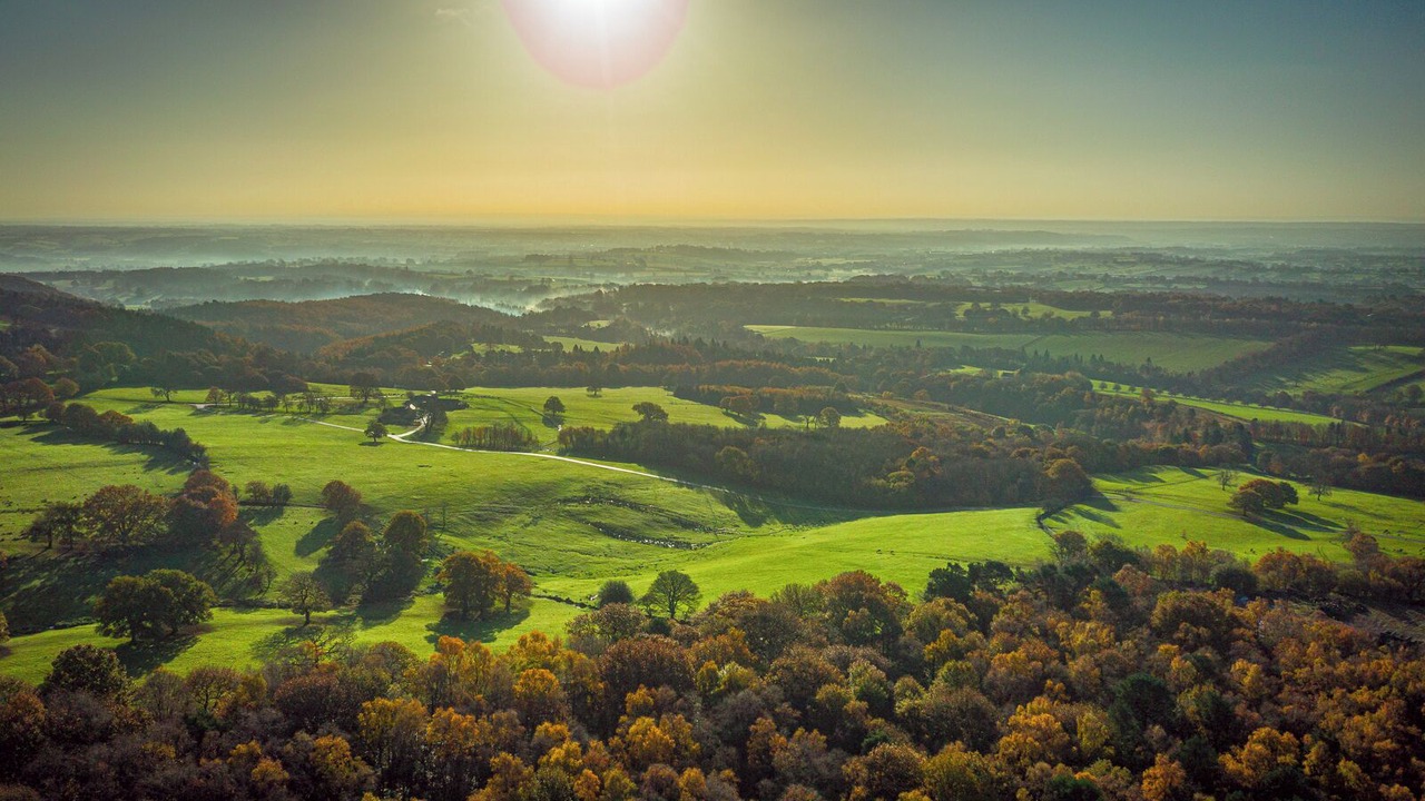 Photo of Others in Farley