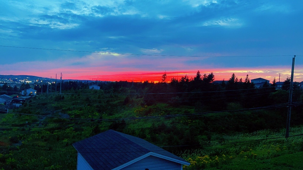 Photo of Others in Mount Pearl