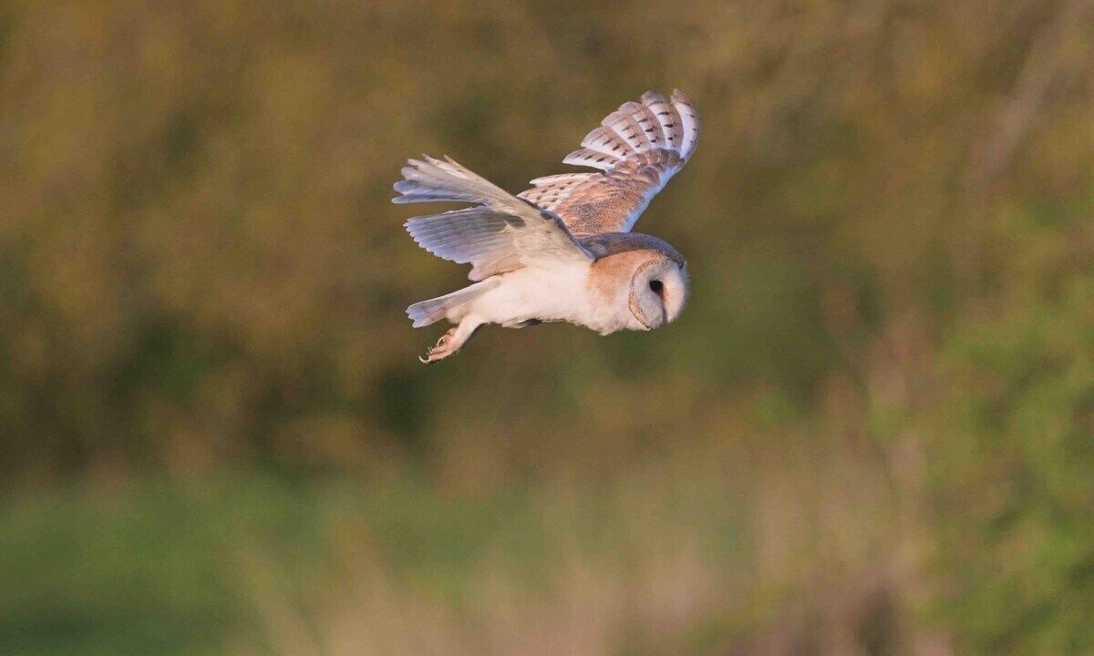 Photo of Others in Chackmore