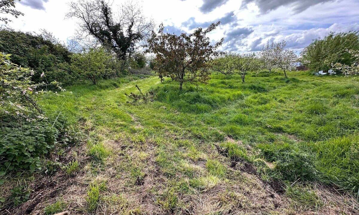 Photo of Bedroom in Chackmore