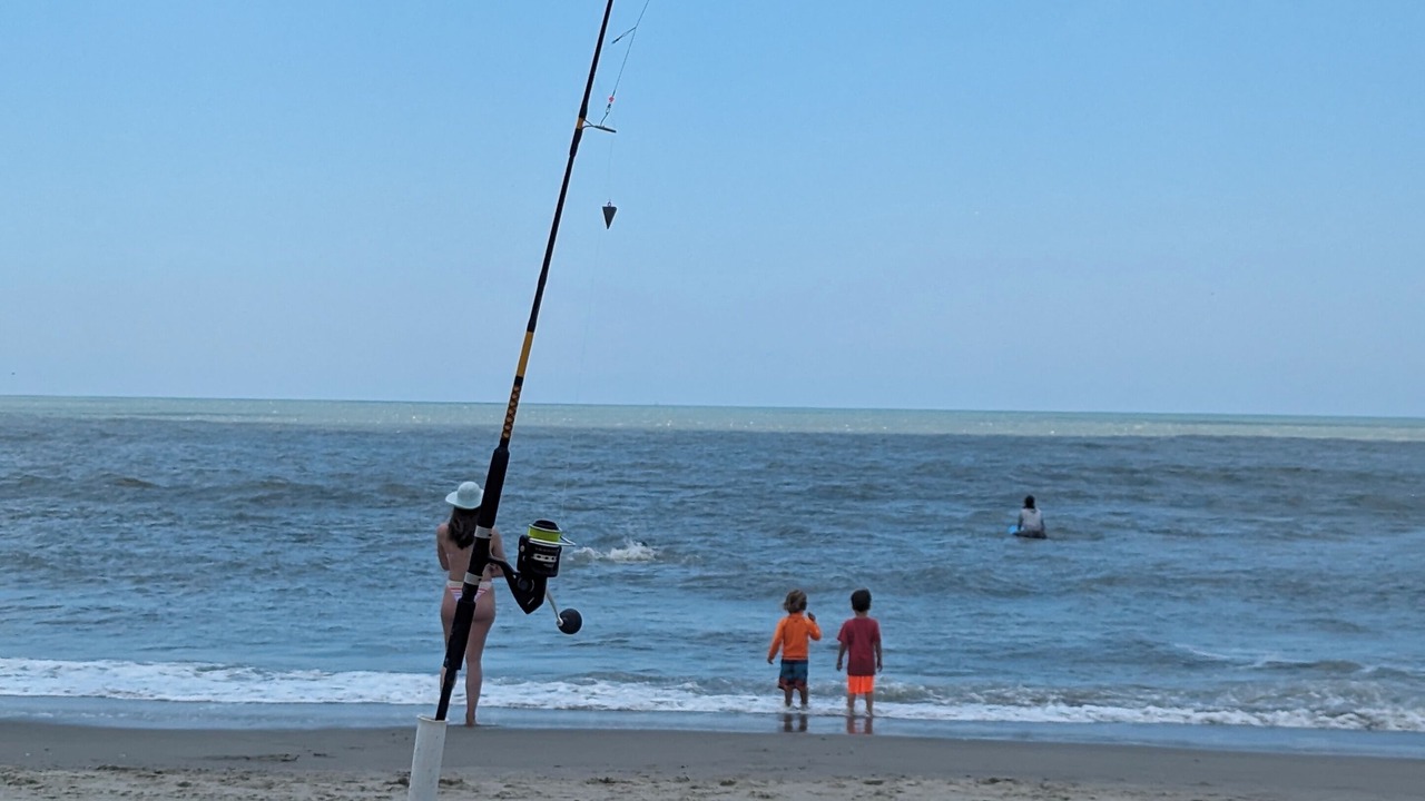 Photo of Others in Long Beach