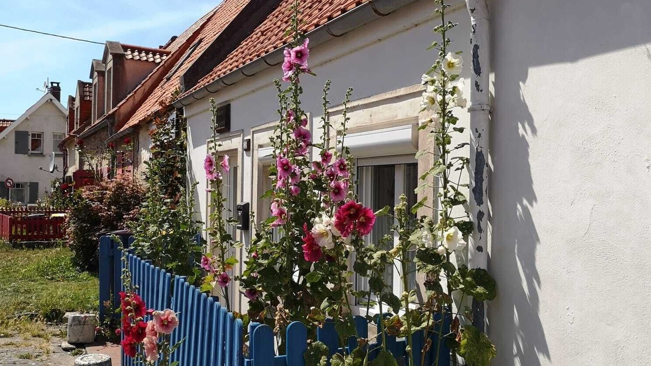 Photo of Outdoor in Wissant
