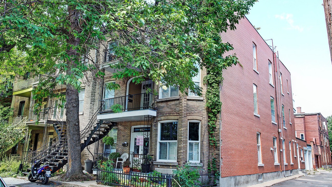Photo of Outdoor in Plateau Mont Royal
