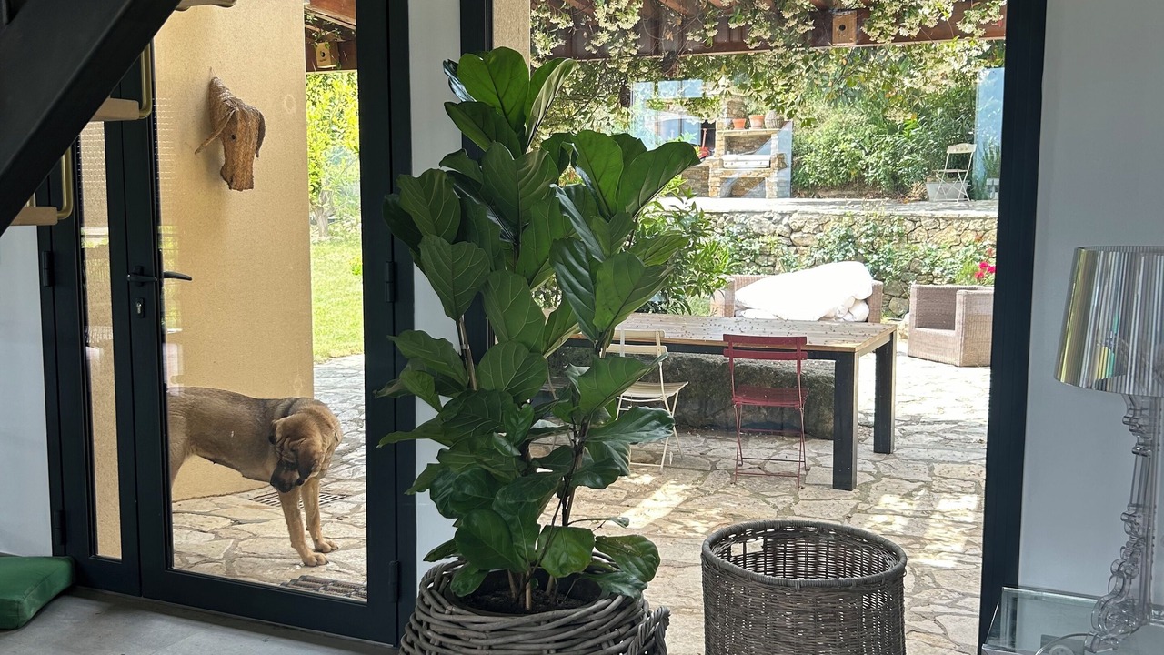 Photo of Others in Maraussan