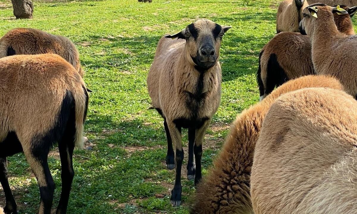 Photo of Outdoor in Maraussan