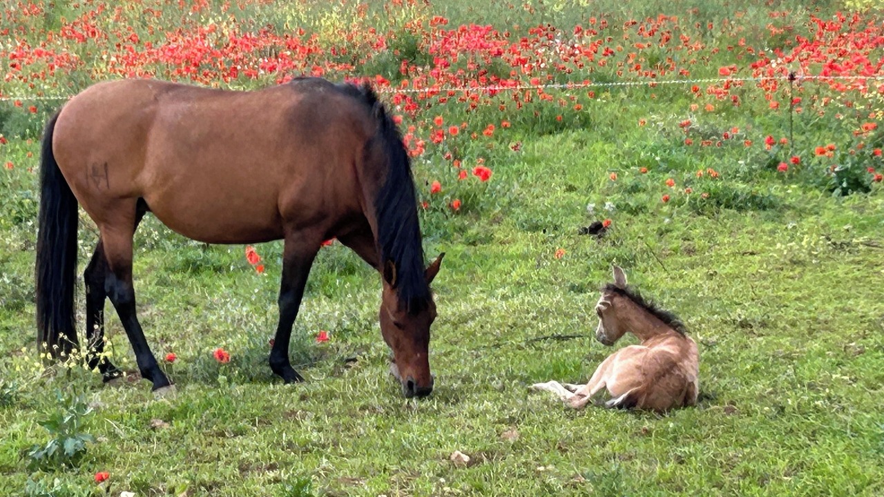 Photo of Others in Maraussan