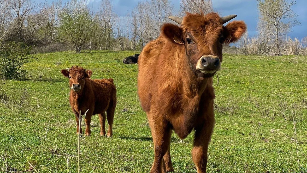 Photo of Outdoor in Maraussan