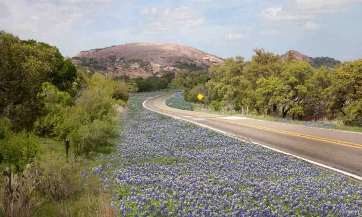 Photo of Others in Blanco