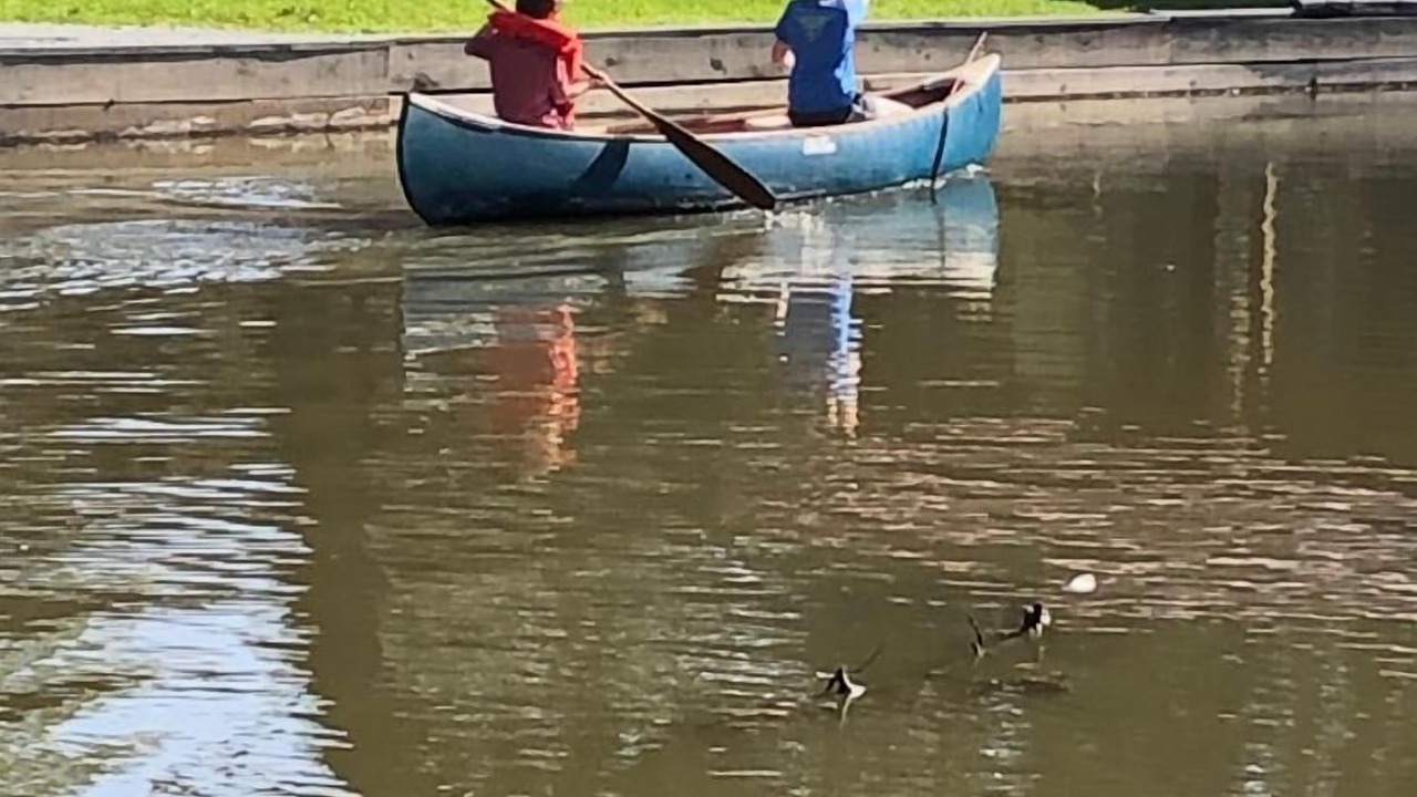 Photo of Outdoor in Conroe