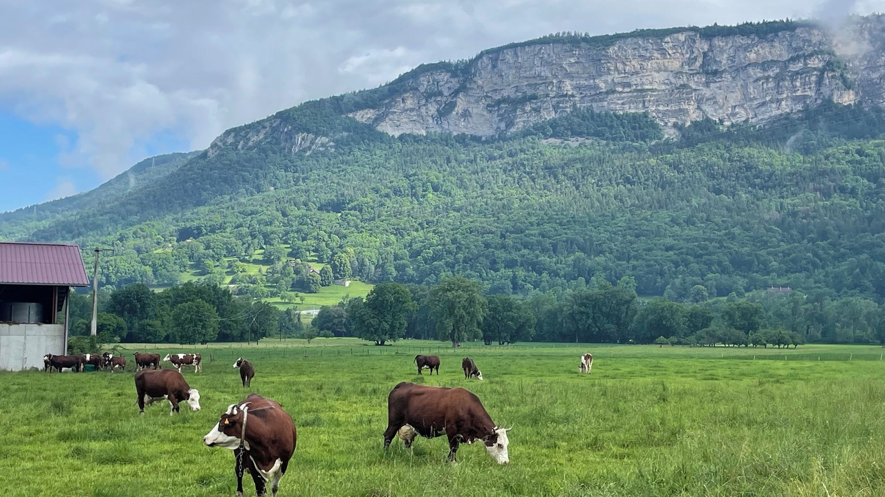 Photo of Outdoor in Bonneville