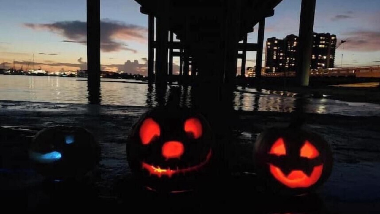 Photo of Others in Hunt Club