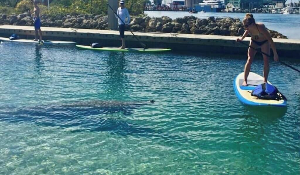 Photo of Others in Hunt Club