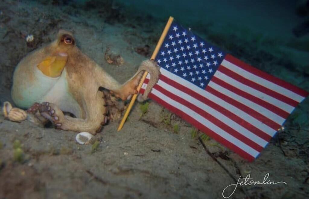 Photo of Outdoor in Hunt Club