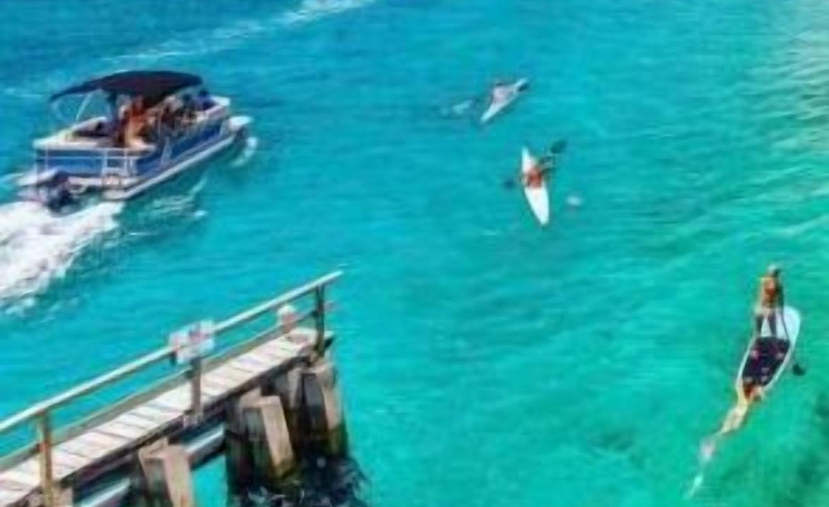 Photo of Outdoor in Hunt Club