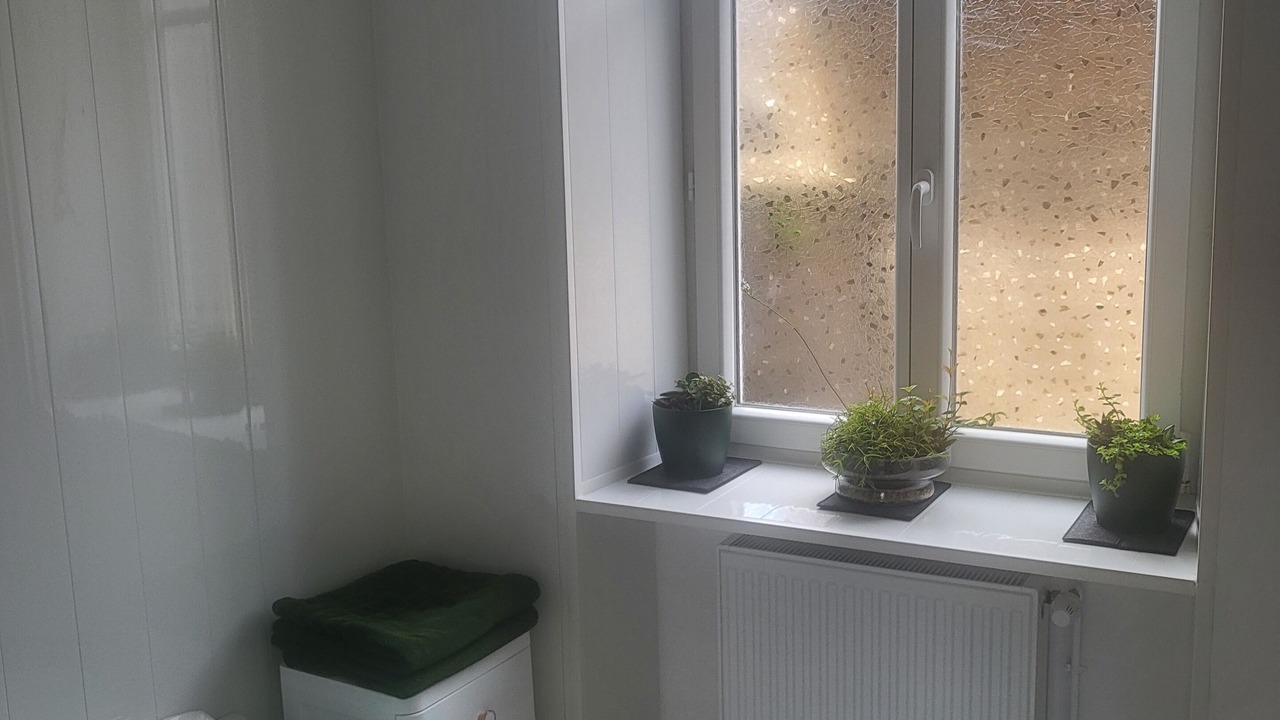 Photo of Others in Fougerolles-du-Plessis