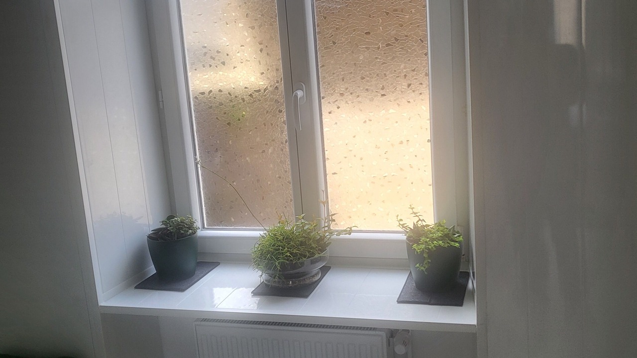 Photo of Others in Fougerolles-du-Plessis