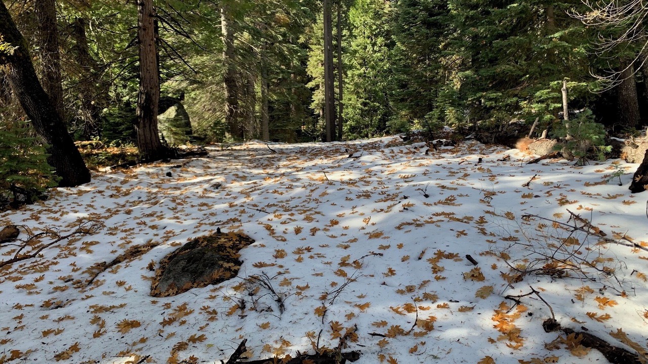 Photo of Outdoor in Fish Camp