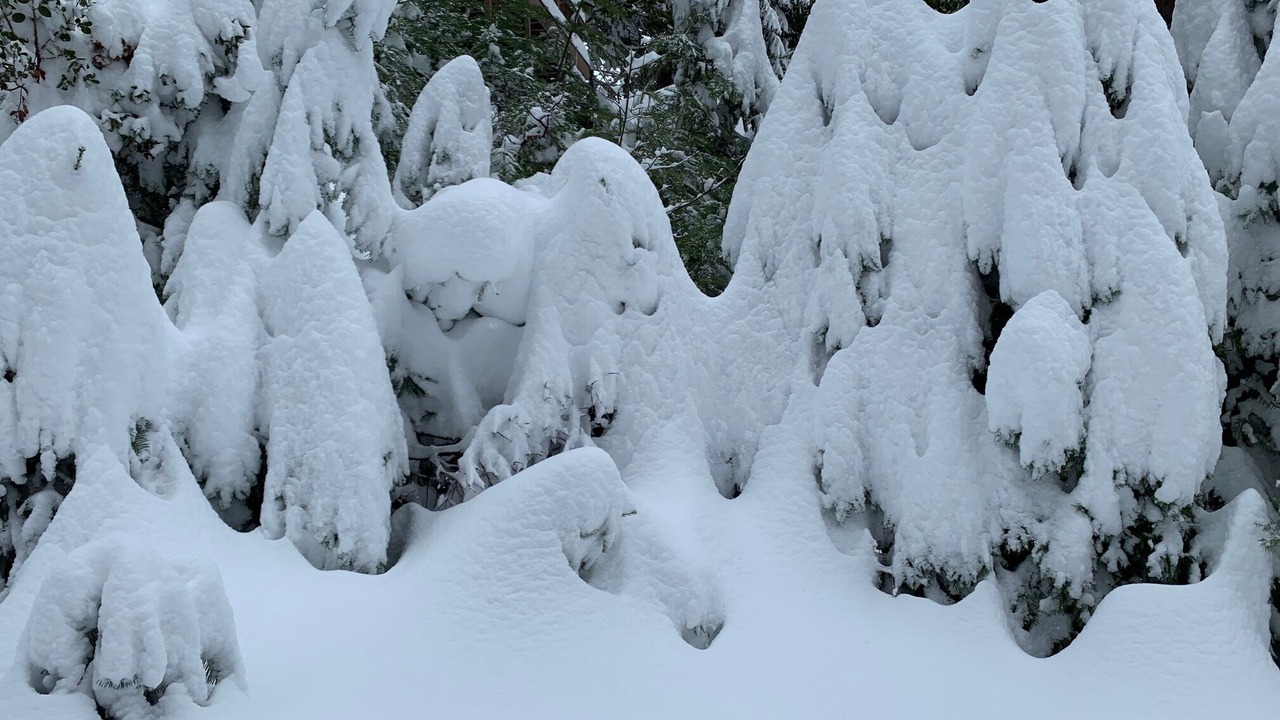Photo of Outdoor in Fish Camp