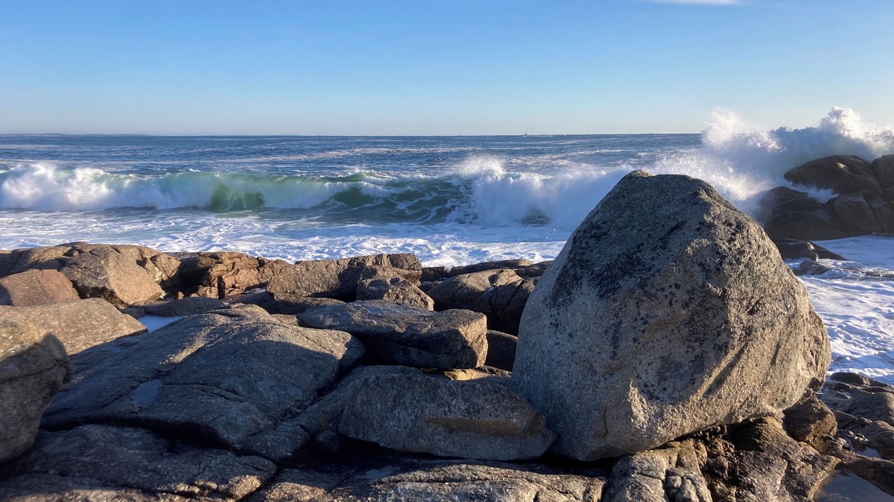 Photo of Others in Halifax County