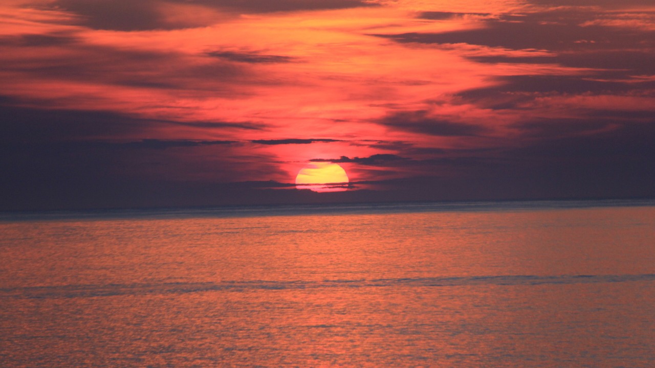 Photo of Others in Halifax County