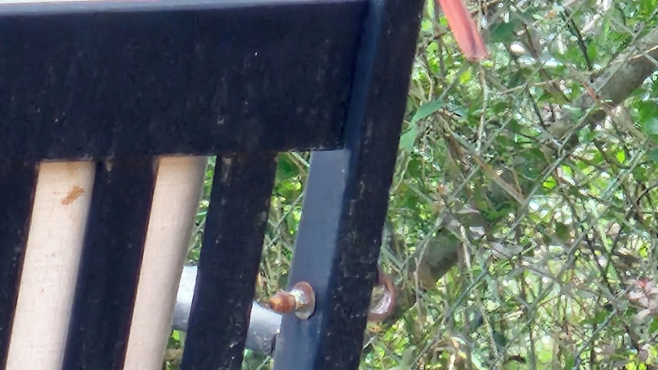 Photo of Others in Carrabelle