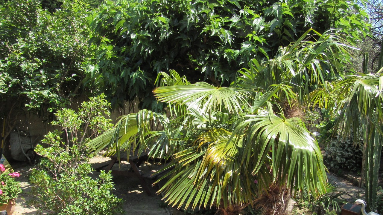 Photo of Outdoor in Douzens