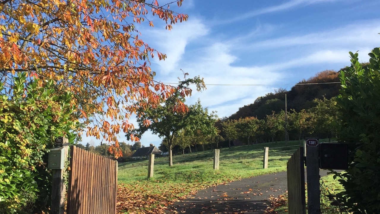 Photo of Outdoor in Manneville-la-Raoult