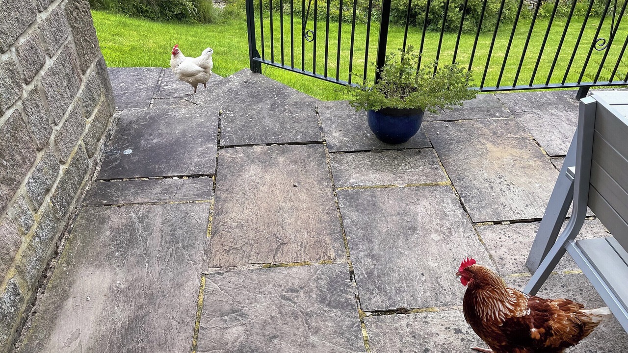 Photo of Outdoor in Lofthouse