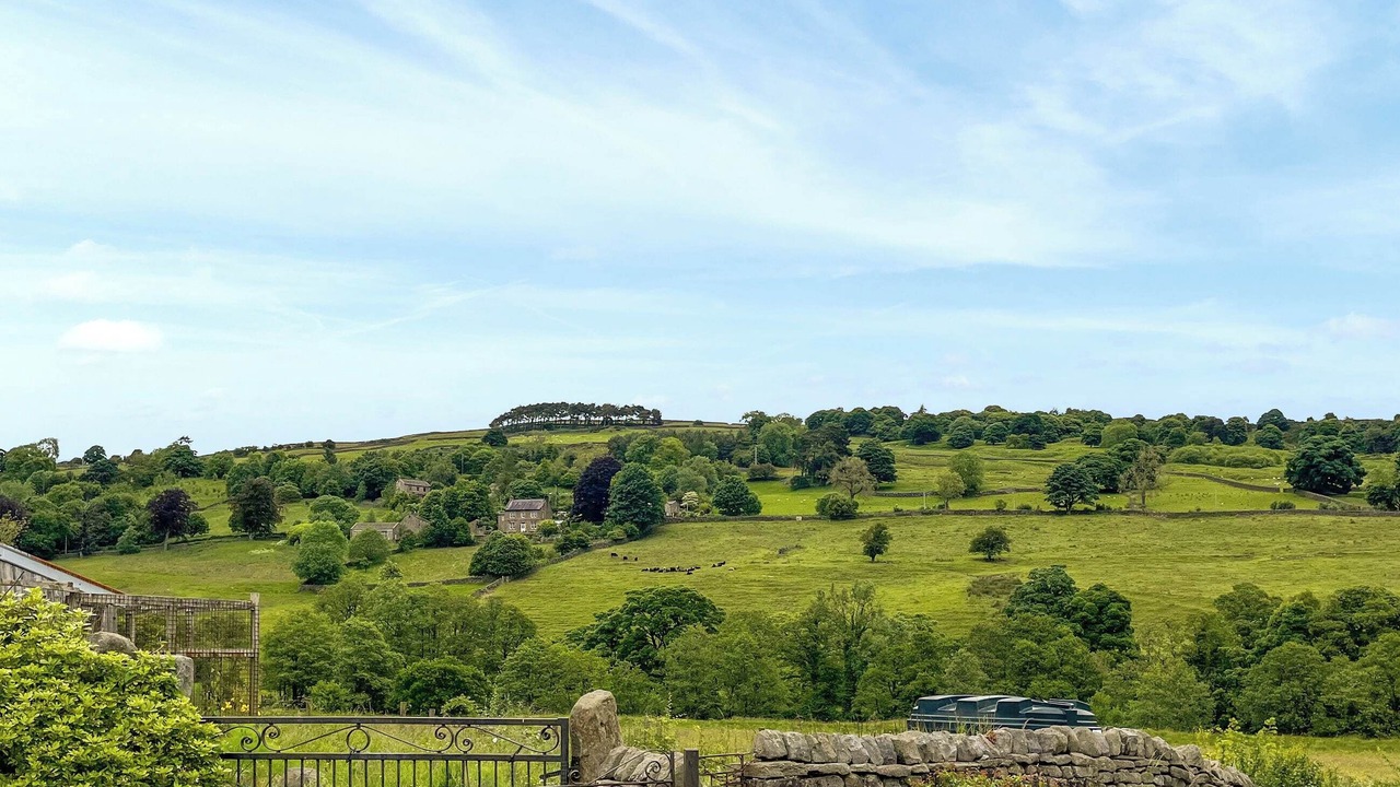 Photo of Others in Lofthouse