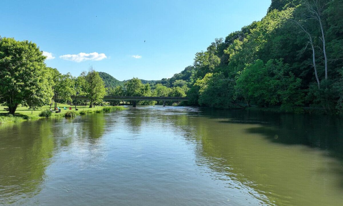 Photo of Others in Johnson City